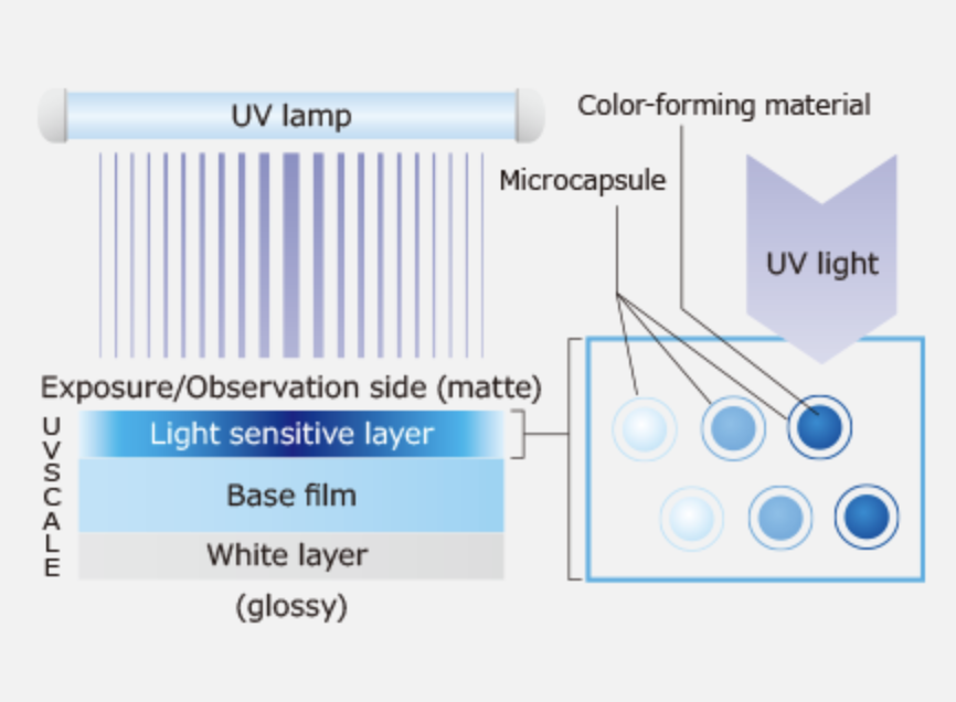 UVSCALE 구조와 발색 원리